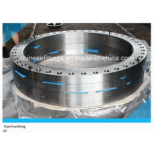 Bigger Size Flat Face Plate Stainless Steel Flange